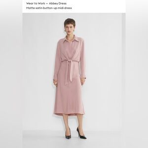 Babaton Abbey Dress - Pink Satin